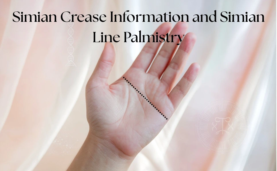 Simian Crease Information and Simian Line Palmistry