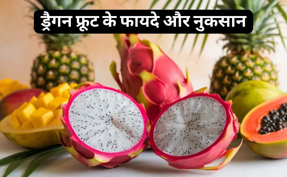 ड्रैगन फ्रूट के फायदे और नुकसान | 10 Dragon Fruit Benefits in Hindi