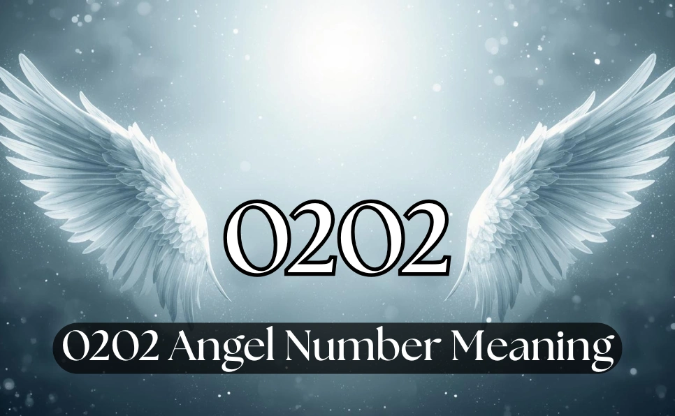 0202 Angel Number Meaning: Love, Twin Flame and Spiritual Message