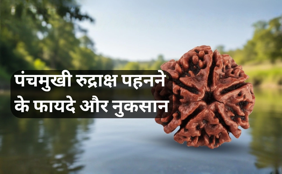 पंचमुखी रुद्राक्ष पहनने के फायदे और नुकसान | Panchmukhi 5 Mukhi Rudraksha Benefits in Hindi